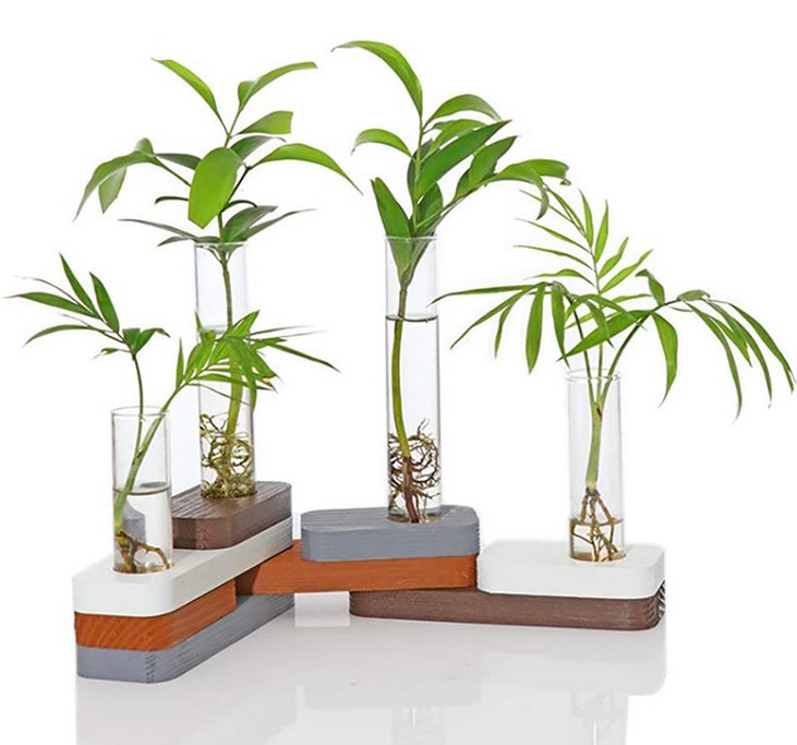 فازة خشبية مع فتحات زجاجية للنباتات الطبيعية مع القدرة على تعديل الشكل-KR130220