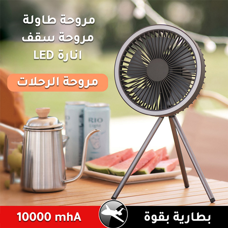 Rechargable multi-function mini fan with LED light G-864-KR012777
