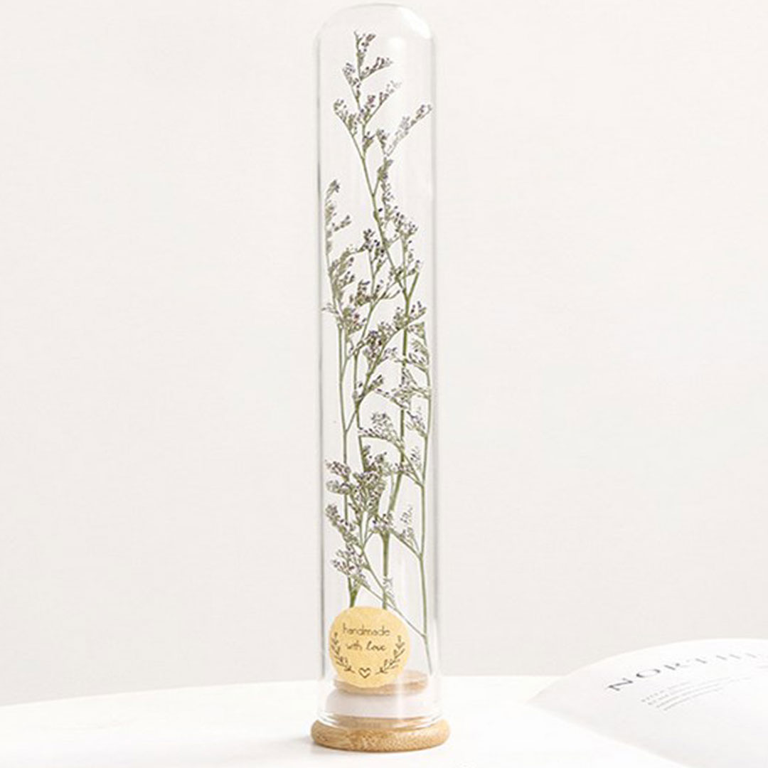 Gift dried plant in glass e-362a-KR070168