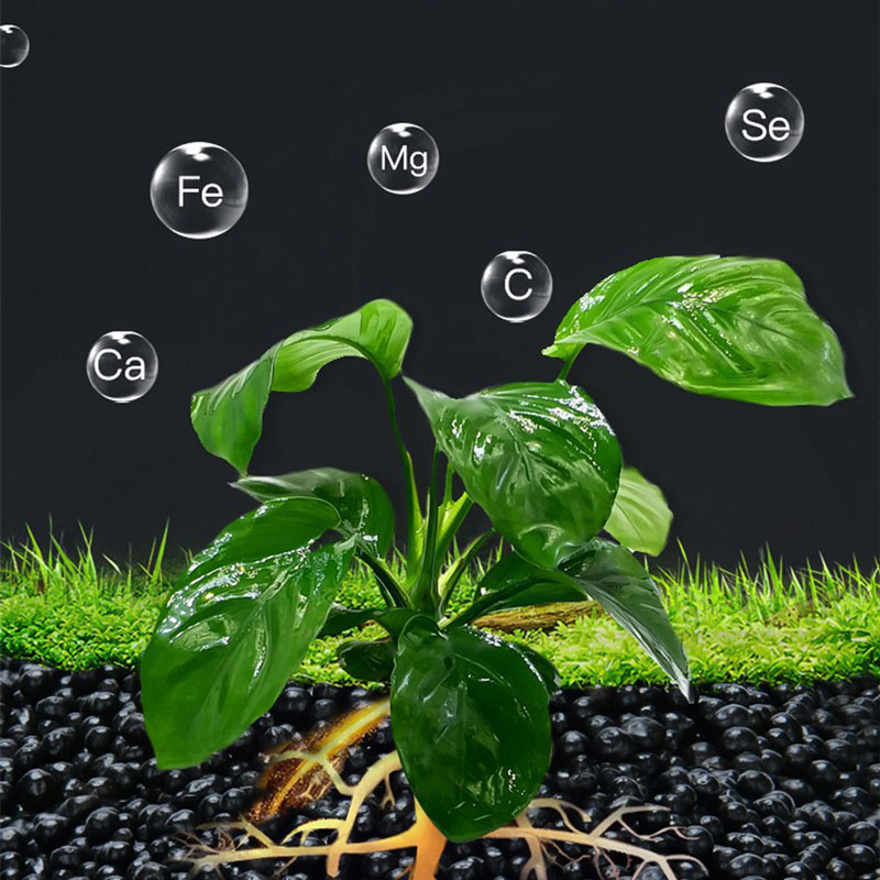 Aquaium amazon planting soil 1.5L-KR120174